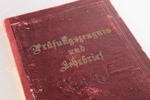zertifikat motorsägenkurs kettensägenkurs